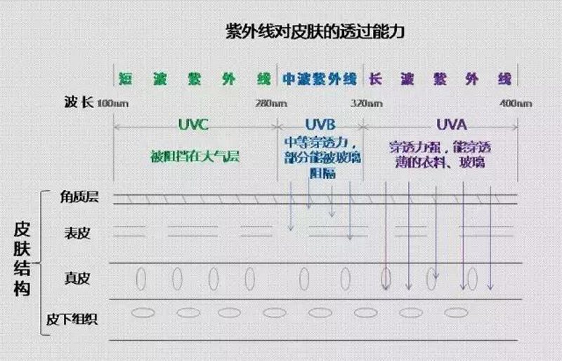 遮陽（yáng）傘