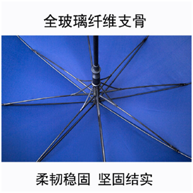 全（quán）玻璃纖維支骨