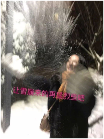 雪地照