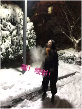 雪地（dì）照