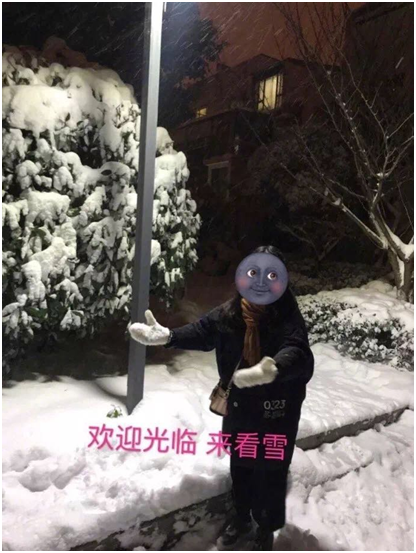 雪地照
