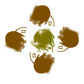 小（xiǎo）編（biān）也看不懂這是啥