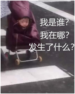 一臉懵逼的娃