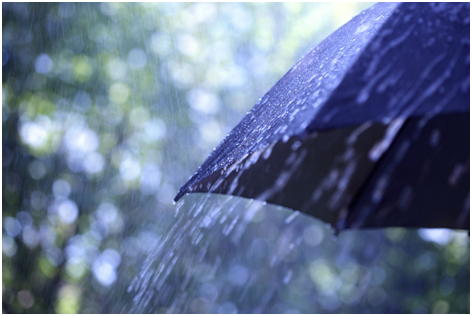 暴雨專（zhuān）用雨傘