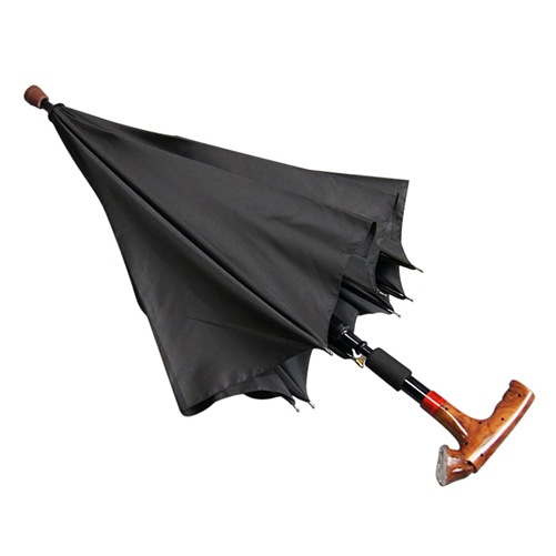 拐杖（zhàng）傘