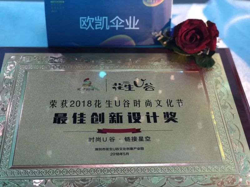 最佳創新設計獎牌