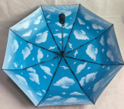 變（biàn）色傘