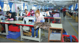 羞羞的网站在线观看傘廠